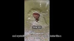 (๑•̀ㅂ•́)و✧ Meet Bismuth - the rainbow metal! Discover its colorful science secrets in this video!