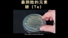 Tellurium: The Unsung Hero of the Future, Powering Your Phone and PC!